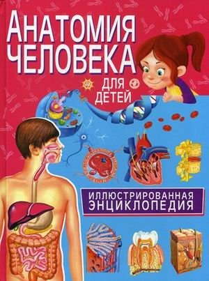 Анатомия человека для детей. Иллюстрированная энциклопедия фото книги