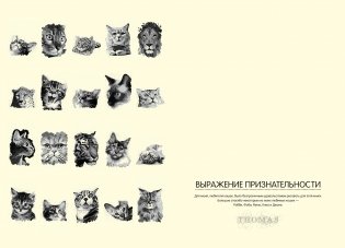 Загадочные кошки. Картины-пазлы фото книги 4