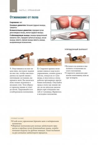 Анатомия тренировок со свободными отягощениями фото книги 7
