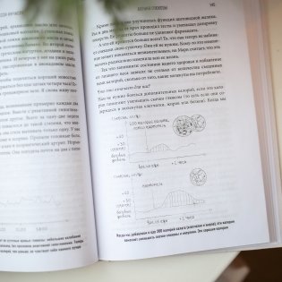 Богиня глюкозы: нормализуйте уровень сахара в крови, чтобы изменить свою жизнь фото книги 4