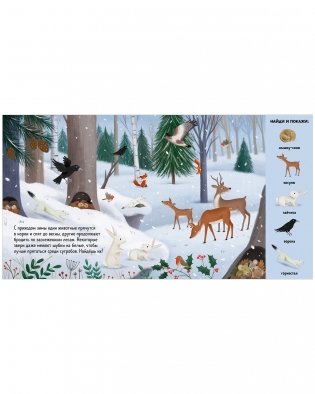 Найди и покажи. Животные в лесу фото книги 14