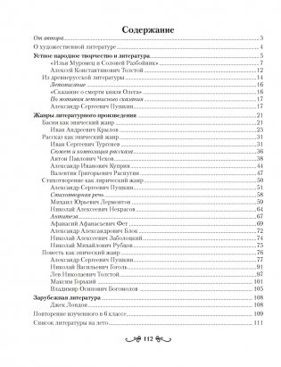 Русская литература. 6 класс. Рабочая тетрадь фото книги 2