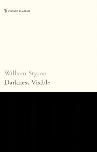 Darkness Visible фото книги