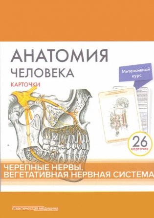 Анатомия человека. Черепные нервы (26 карточек) фото книги