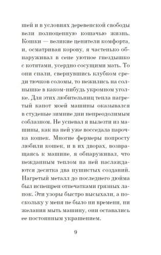 Кошачьи истории фото книги 8