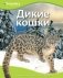 Дикие кошки фото книги маленькое 2