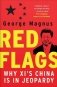 Red Flags. Why Xi's China Is in Jeopardy фото книги маленькое 2