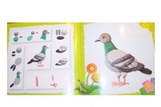 Домашние птицы. Для детей от 2 лет фото книги 3