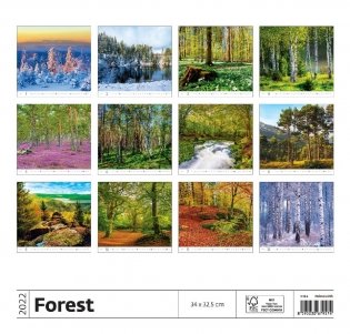 Forest (Лес). Календарь настенный на 2022 год фото книги 4