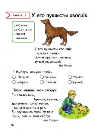 З імі слаўна забаўляцца, імі добра любавацца. Факультатыўныя заняткі «Вытокі роднай мовы». 1 клас. Рабочы сшытак фото книги 3