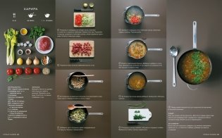 Мировая кухня. 500 блюд со всего света, 3000 уникальных фотографий фото книги 11