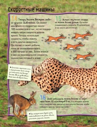 Животные фото книги 13
