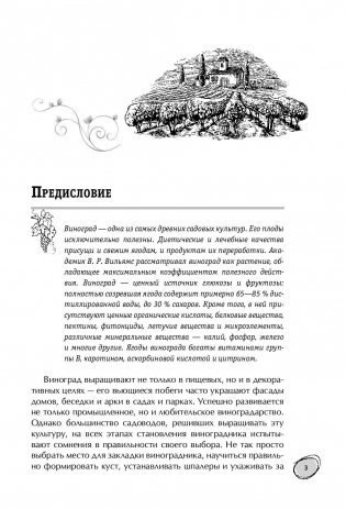 Большая энциклопедия виноградаря фото книги 4