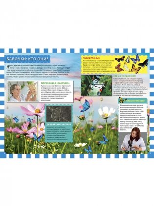 Бабочки. Детская энциклопедия фото книги 2