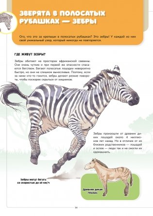Мир животных. Наглядно и просто фото книги 6