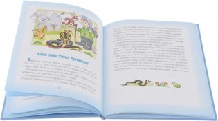 Где у птицы компас. Почемучкины вопросы фото книги 3