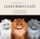 Louis wain`s cats фото книги маленькое 2