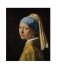 Vermeer фото книги маленькое 6