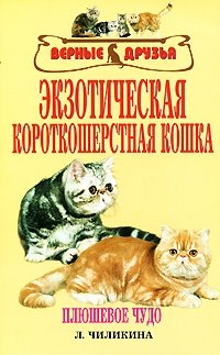 Экзотическая короткошерстная кошка фото книги