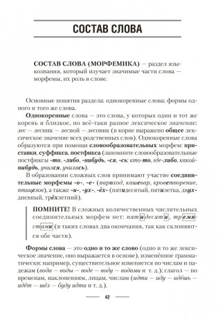 Русский язык. ЦЭ. ЦТ. Теория. Примеры. Тесты фото книги 10