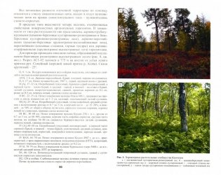 Генетические и геохимические особенности почв Камчатки фото книги 2
