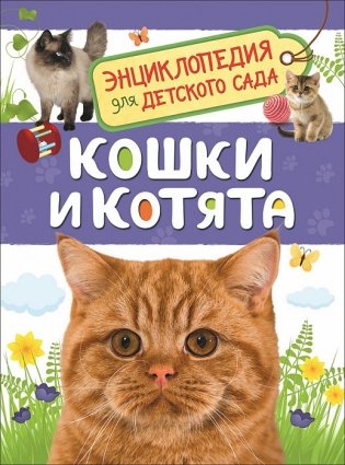 Кошки и котята. Энциклопедия для детского сада фото книги
