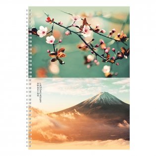 Тетрадь 120 л., А4, клетка, на гребне BG "Удивительный пейзаж", глянцевая ламинация. Арт. Т4гр120_лг 12475 фото книги 2