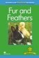 Fur and Feathers фото книги маленькое 2