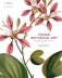 Indian botanical art фото книги маленькое 2