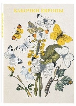 Бабочки Европы фото книги