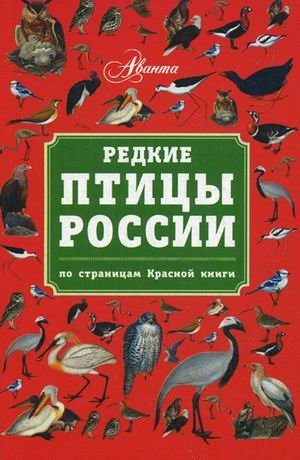 Редкие птицы России. По страницам Красной книги фото книги