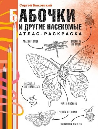 Бабочки и другие насекомые. Атлас-раскраска фото книги