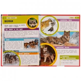 Битва хищников. М. А. Рыклин. Энциклопедия с развивающими заданиями фото книги 3