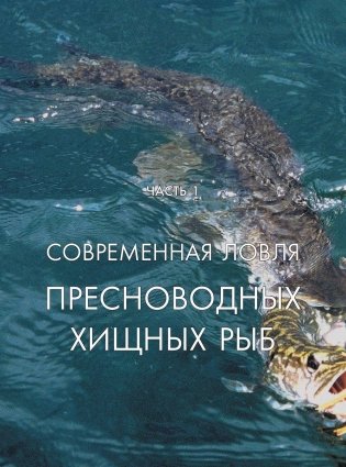 Рыбалка. Энциклопедия рыболова фото книги 9