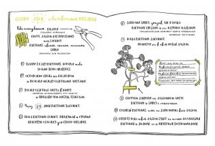 Мой удивительный мир природы. Книга для рисования фото книги 3