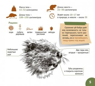 Белорусские болота. Серия "Планета животных" фото книги 4