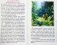 Райская Лилия. Рассказы о пресвятой Богородице для семейного чтения фото книги маленькое 4