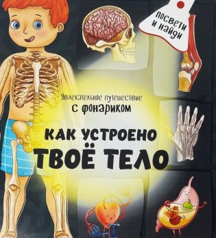 Как устроено твое тело. Увлекательное путешествие с фонариком фото книги