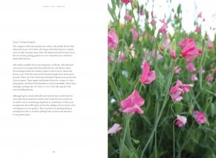 Sweet Pea School: Growing & Arranging the Garden’s Most Romantic Blooms фото книги 9