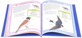 Птицы фото книги 3