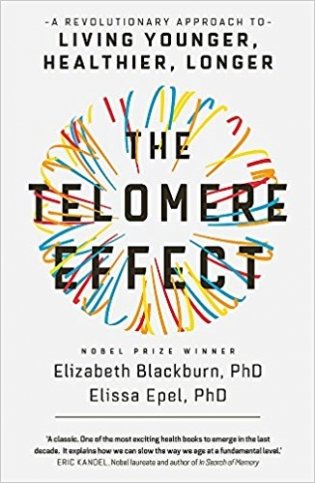 The Telomere Effect: A Revolutionary Approach to Living Younger, Healthier, Longer фото книги