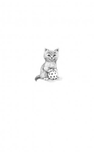 Котёнок Одуванчик, или Игра в прятки = Smudge the Stolen Kitten фото книги 5