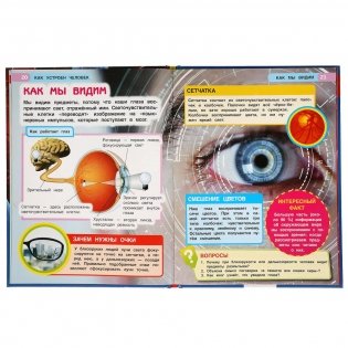 Как устроен человек. Энциклопедия с развивающими заданиями фото книги 6