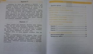 Всероссийские проверочные работы. Русский язык. 4 класс фото книги 2