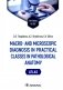 Macro- and microscopic diagnosis in practical classes in pathological anatomy. Atlas : tutorial guide. (кн. на англ. яз.) фото книги маленькое 2