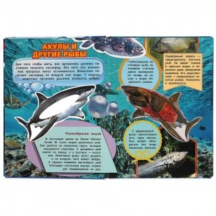 Акулы. Энциклопедия для детей фото книги 2