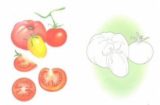 Овощи. Раскраска фото книги 2