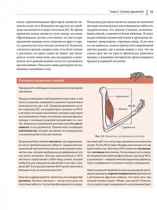 Анатомия йоги простыми словами. Иллюстрированное пособие по упражнениям и асанам фото книги 4