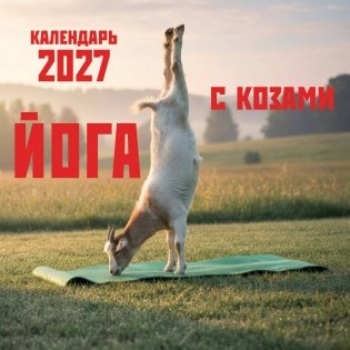 Йога с козами. Календарь настенный на 2027 год (300х300 мм) фото книги