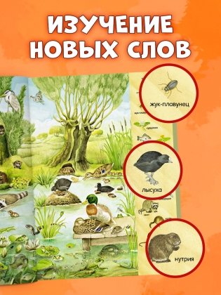 Найди и покажи. 1000 животных фото книги 5